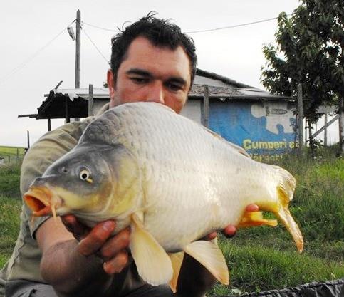 Greaca 9-11 mai Cupa Tarom ed.a 6-a - 12.jpg